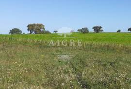 Land Ferreira do Alentejo