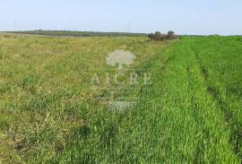 Land Ferreira do Alentejo