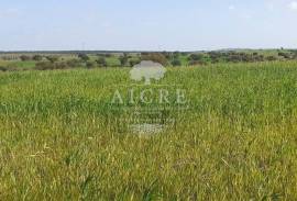 Land Ferreira do Alentejo