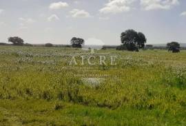 Land Ferreira do Alentejo