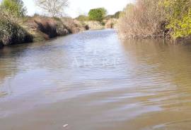 Land Ferreira do Alentejo