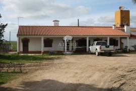 Farm Aljustrel