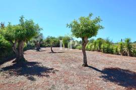 A Country Villa Retreat & Business Opportunity - 123ALG