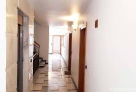 Centrally located apartment in Elche with views of the Vinalopó River.