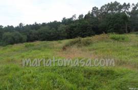 Land Vizcaya Loiu
