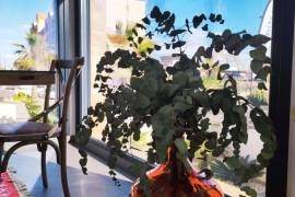 Brand new villas for sale in Torrevieja- La Mata