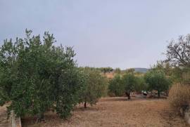 Spacious villa in magnificent area Spacious villa in magnificent area