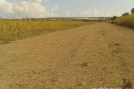 Land for sale in Elche