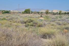 Rustic dry land in Partida La Cañada. Non-developable land
