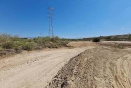 Rustic dry land in Partida La Cañada. Non-developable land