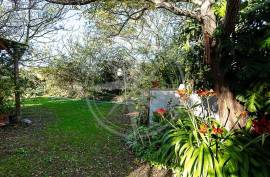 Beautiful Character Property with Mature Garden Near Tavira