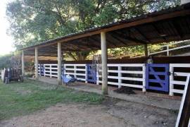 Fazenda Monte Alegre/Brasile in vendita BR102