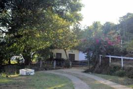 Fazenda Monte Alegre/Brasile in vendita BR102