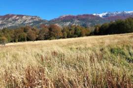 Large plot of land in the Aysén region, Patagonia