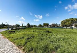 Perfect Plot in Porto do Mós