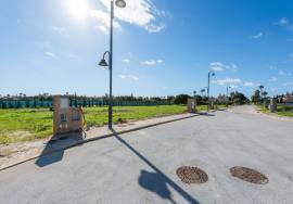 Perfect Plot in Porto do Mós