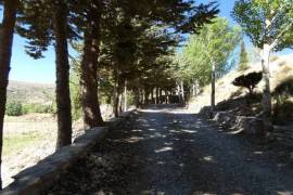 Superb 3 Bed Water Mill For Sale Near Gor Granada