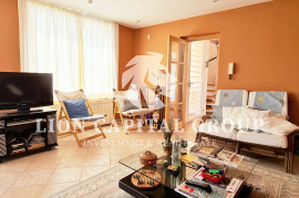 Villa Valencia/València Gilet