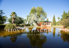 Villa Valencia/València Monasterios-Alfinach