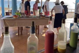 Martin’s restaurant For Sale in Ponta Preta Maio Cape Verde