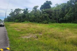 Luxury Estate For Sale In Becej