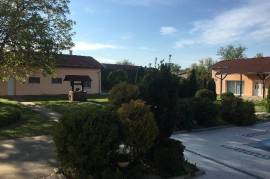 Luxury Estate For Sale In Becej