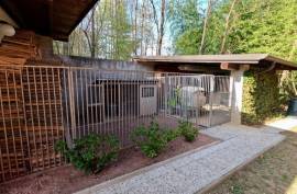 Stunning 4 Bed Villa For Sale in Cureggio Novara Italy