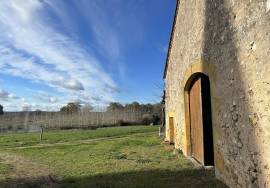 - Barn - Aquitaine - For Sale - 11579-MO