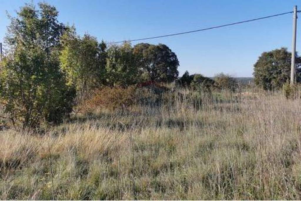 Land Pridraga, Novigrad, 460m2