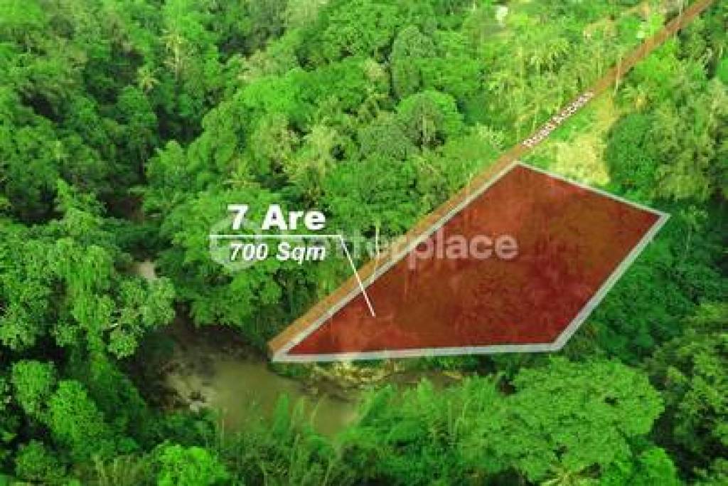 Secure Your Bali Investment: 700 sqm Leasehold Land for Sale in Buwit, Tabanan with Natural Beauty