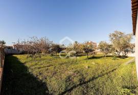 Land Évora Canaviais