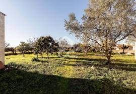 Land Évora Canaviais