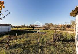 Land Évora Canaviais