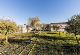 Land Évora Canaviais