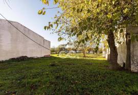 Land Évora Canaviais