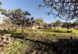 Land Évora Canaviais