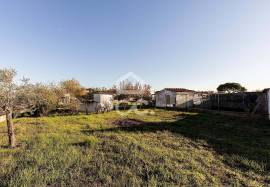 Land Évora Canaviais