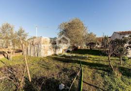 Land Évora Canaviais