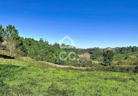 Land Caldas da Rainha