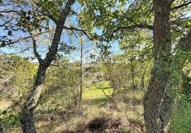 Land Caldas da Rainha