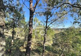 Land Caldas da Rainha