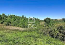 Land Caldas da Rainha