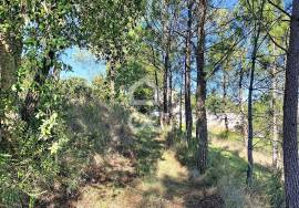 Land Caldas da Rainha