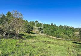 Land Caldas da Rainha