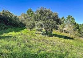 Land Caldas da Rainha