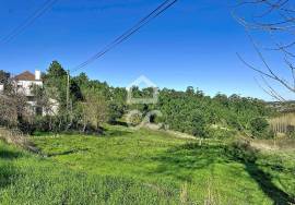 Land Caldas da Rainha