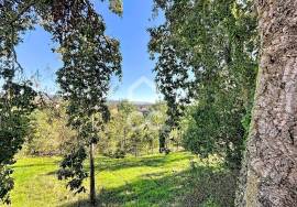 Land Caldas da Rainha