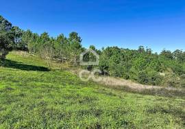 Land Caldas da Rainha