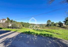 Land Caldas da Rainha