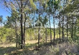 Land Caldas da Rainha